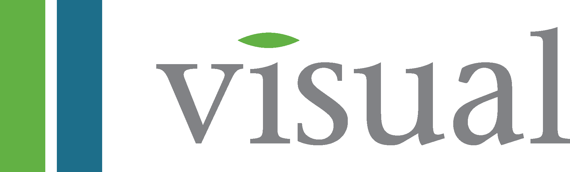 Visual Print Logo Vector Logo